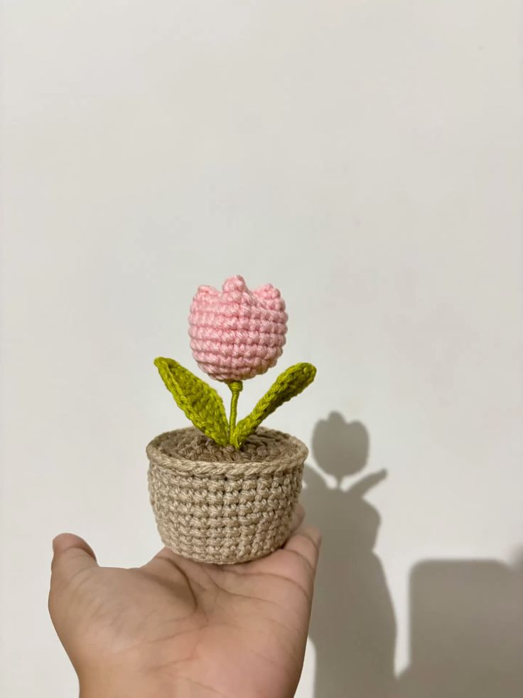 Tulip Flower Pot j